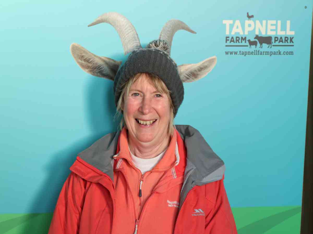 Tapnell Farm Park picture gallery